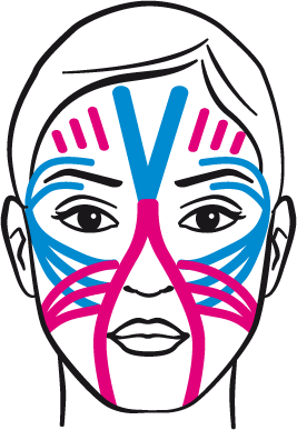 KURS ONLINE Kinesiotaping estetyczny PRO Joga Piękna